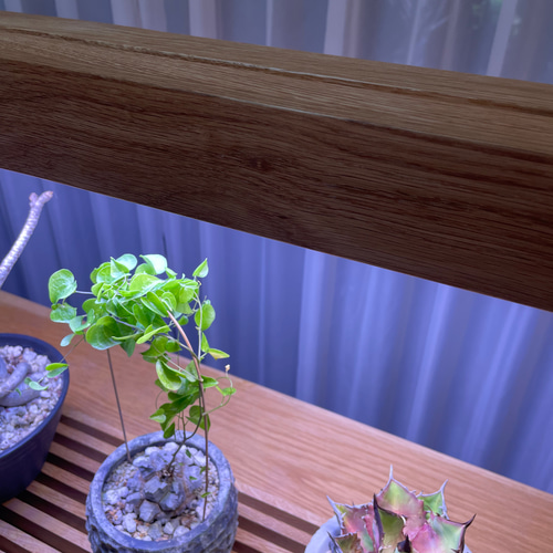 新作！植物育成LEDライトスタンド［オーク］ 一輪挿し・花瓶・花器