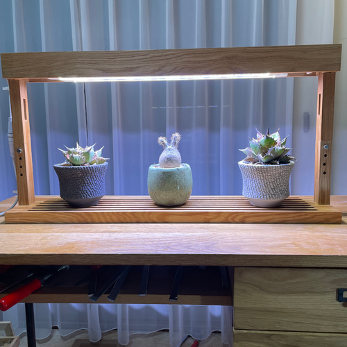 新作！植物育成LEDライトスタンド［オーク］ 一輪挿し・花瓶・花器