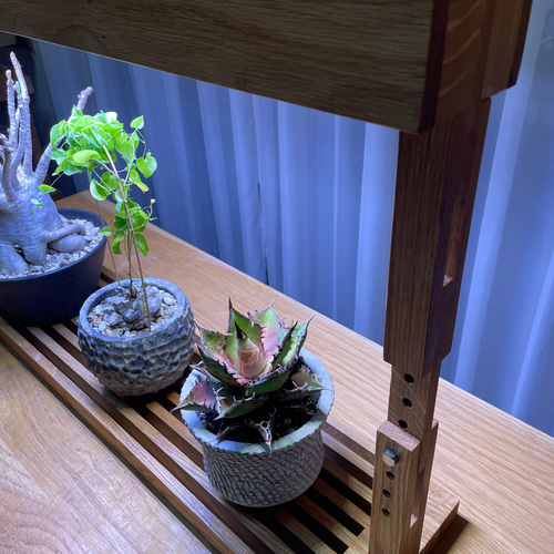 新作！植物育成LEDライトスタンド［オーク］ 一輪挿し・花瓶・花器