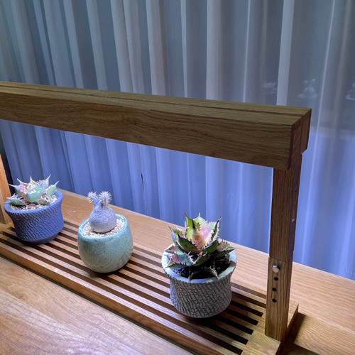 新作！植物育成LEDライトスタンド［オーク］ 新作！植物育成LEDライトスタンド［オーク］ 一輪挿し・花瓶・花器