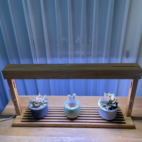 新作！植物育成LEDライトスタンド［オーク］ 一輪挿し・花瓶・花器