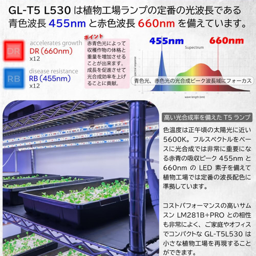 新作！植物育成LEDライトスタンド［オーク］ 一輪挿し・花瓶・花器