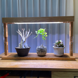植物育成LEDライトスタンド［オーク］LED.サーキュレーター付属
