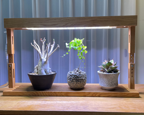 新作！植物育成LEDライトスタンド［オーク］ 一輪挿し・花瓶・花器