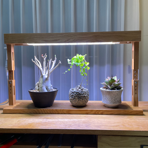 新作！植物育成LEDライトスタンド［オーク］ 一輪挿し・花瓶・花器