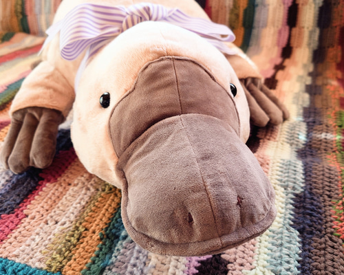 R様オーダー品】大きい ふわふわ ぬいぐるみ かものはし