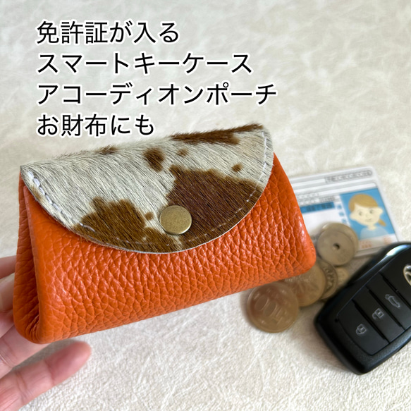 免許証が入るスマートキーケース コインケース アコーディオンポーチ