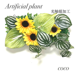 光触媒加工ウォールグリーン フェイクグリーン壁掛け♡ビビットピンク