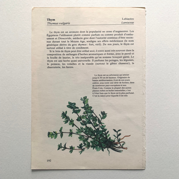 洋書古書 植物画　フランス植物図鑑 フランス製 古書 植物画 アンティーク 32 その他インテリア雑貨