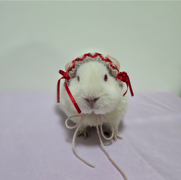 犬の形 ぬいぐるみ 赤いリボン Amazon.co.jp: WENMOTDY ビッグテディベアぬいぐるみ 巨大