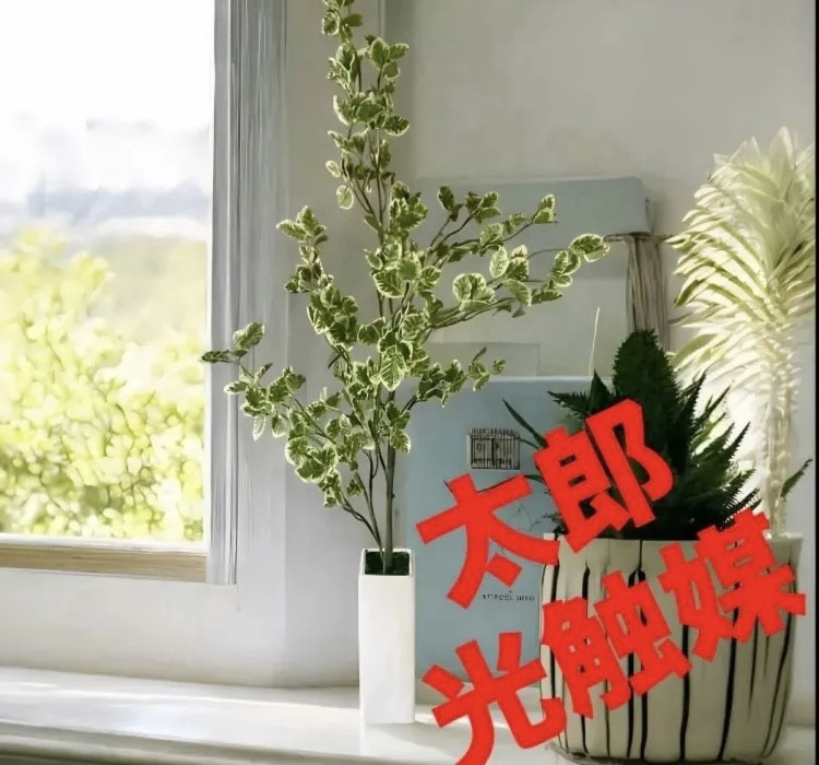 光触媒　人工観葉植物　ウォールグリーン　フェイクグリーン　スピンドル花器付