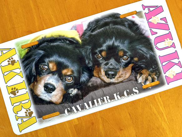 キング ※購入前コメント助かります※出品 メルカリ購入後のコメントはどう書く？例文やよくあるQ&Aをチェック