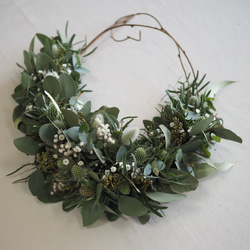 オーレアミモザとエリンジウムのリース　ビオラ　アメジストセージ ユーカリ 0d1f1f1d5cc105d53dfb511eb6d7d6