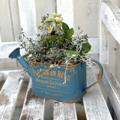 プリムラジュリアン」のヴィンテージ寄せ植え※完成品 鉢花 寄せ植え