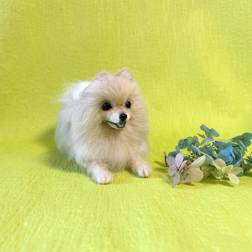 羊毛フェルト　ポメラニアン 羊毛フェルト 犬 ポメラニアン