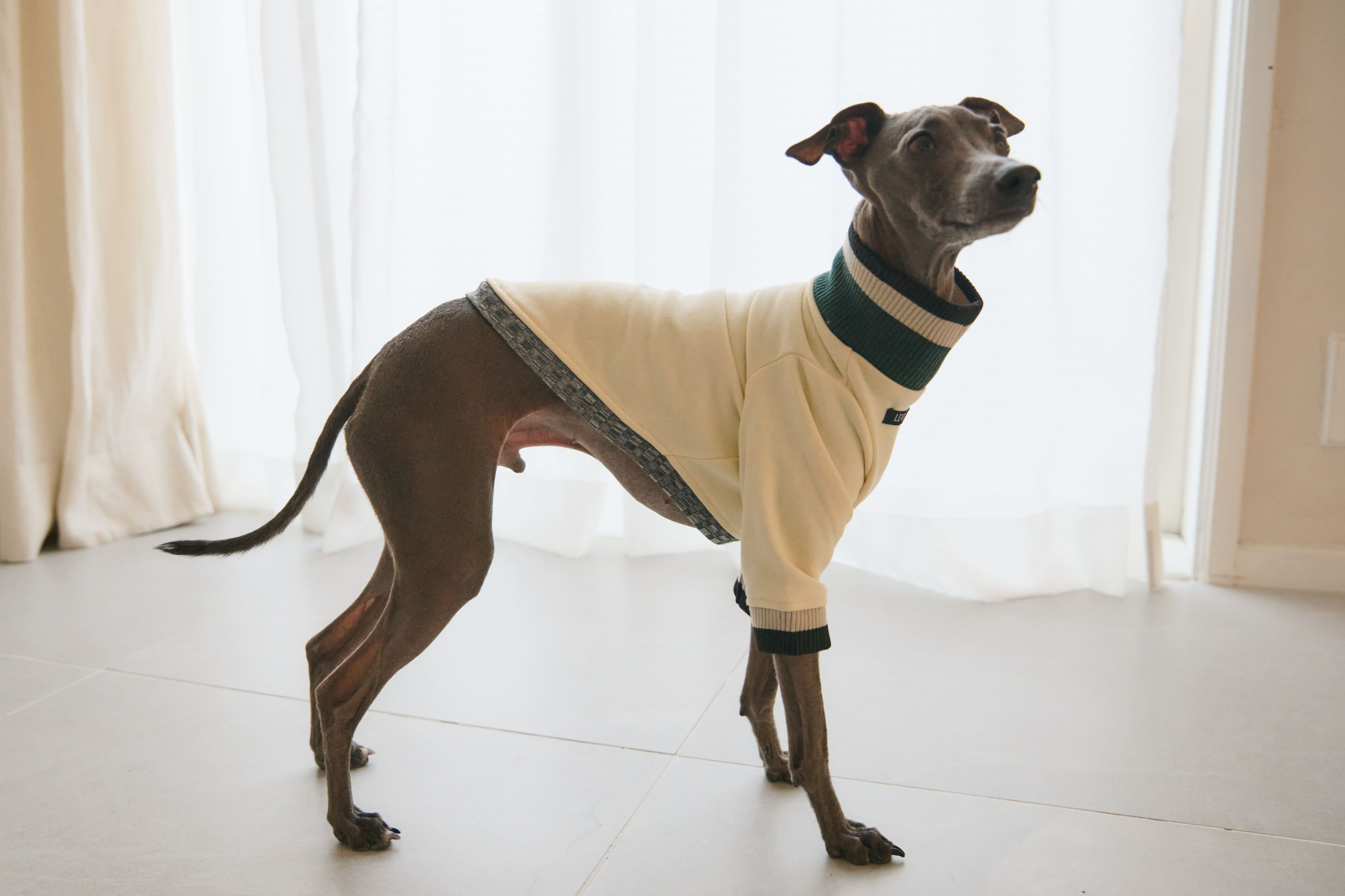 Ribbed Border Sweater -Ivory(M~XXL)