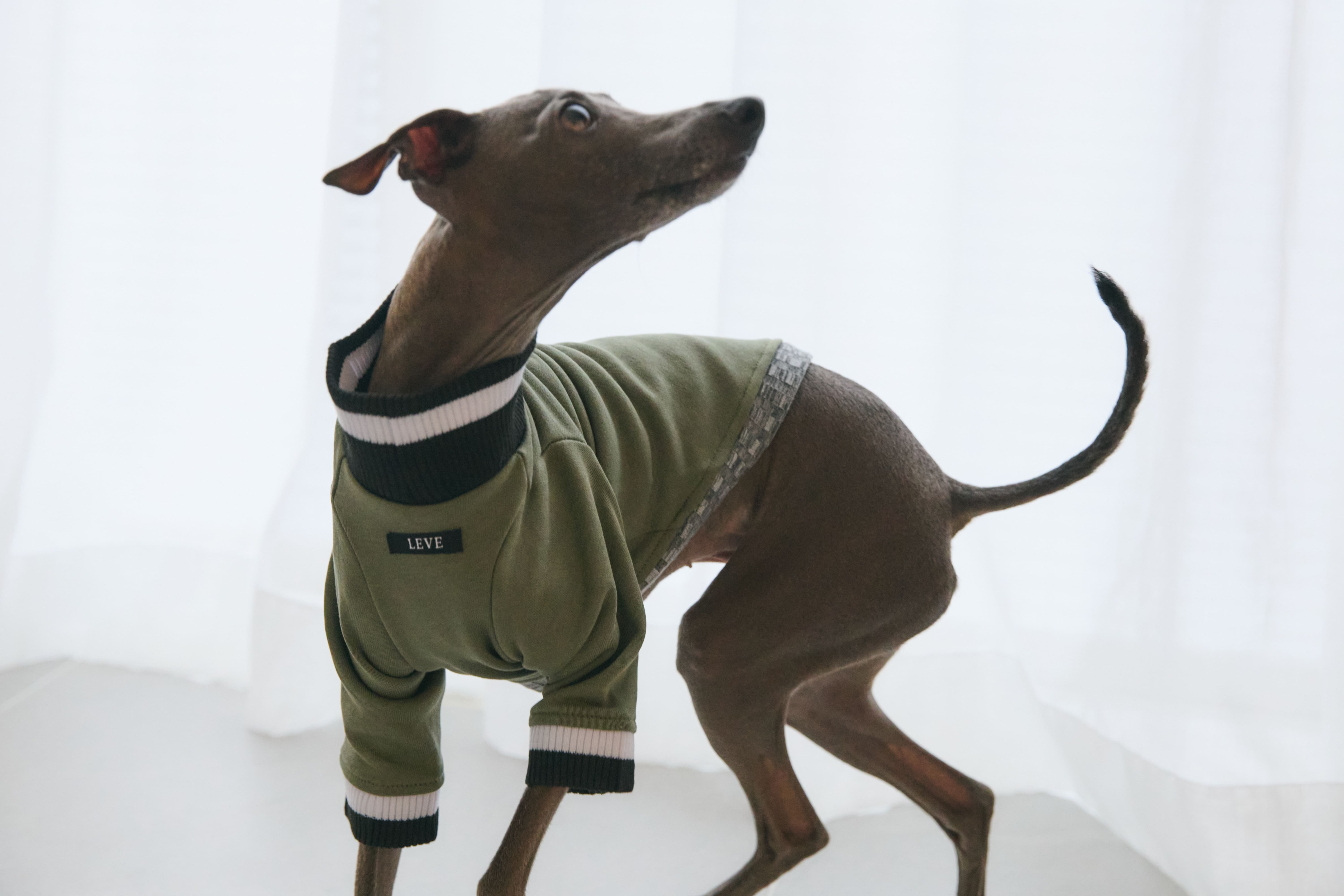 Ribbed Border Sweater -Olive(M~XXL)