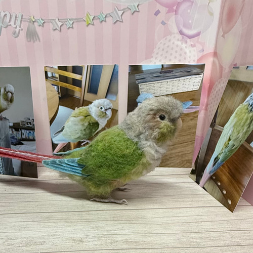 羊毛フェルト オカメインコor大きめインコオーダーメイド 1羽 ウチの仔