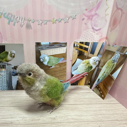 羊毛フェルト オカメインコor大きめインコオーダーメイド 1羽 ウチの仔