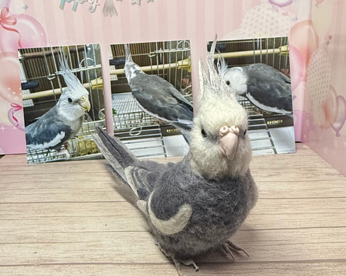 b80b212f45c59c0a954faef81b99f5