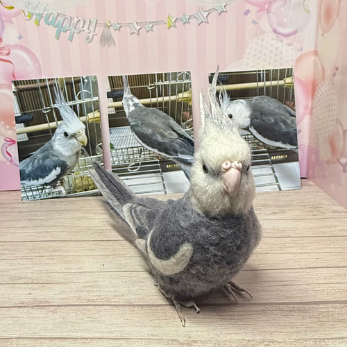 羊毛フェルト オカメインコor大きめインコオーダーメイド 1羽 ウチの仔