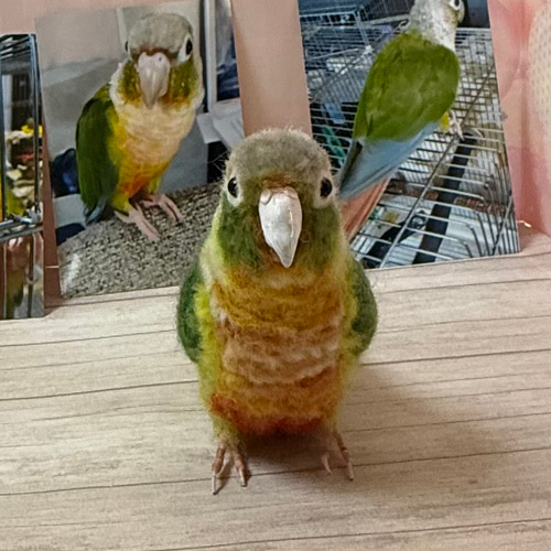 羊毛フェルト オカメインコor大きめインコオーダーメイド 1羽 ウチの仔