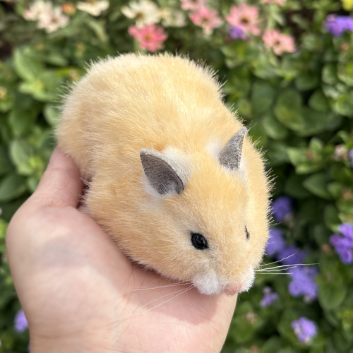 ゴールデンハムスターのぬいぐるみ｜キンクマ・ダルメシアンなど《セミ