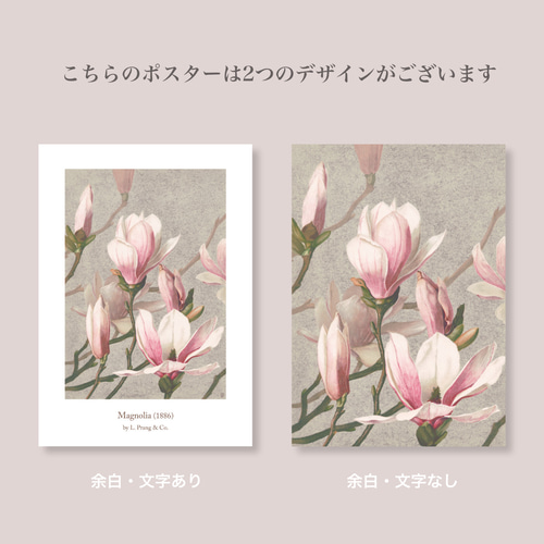 日本画 モクレン 花 署名あり NO.428】モクレンの日本画アートポスター☆木蓮の花お正月和柄和モダン