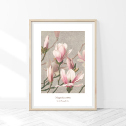 ボタニカルアート リンコソフロカトレア 植物画 絵画 Zinnia