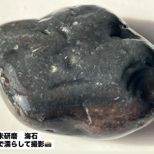 青森県産 黒曜石 一部磨きと未研磨海石 2個セット シルバー