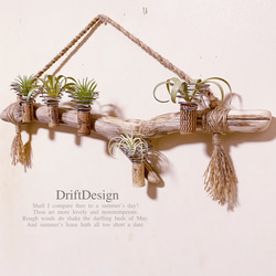 〜DriftDesign〜　流木とシーグラスの瓶詰めのお洒落なインテリアセット Drift Design〜 流木とシーグラスの瓶詰めのお洒落なインテリア
