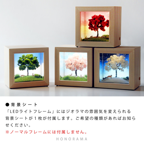 お部屋でお花見✿ ジオラマフレームセット 四季の丘~春・満開の お部屋でお花見✿ ジオラマフレームセット 四季の丘~春・満開の