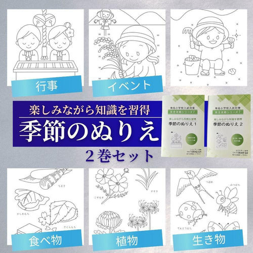 SST 絵カードセット 視覚支援 療育グッズ 言語訓練 ソーシャル