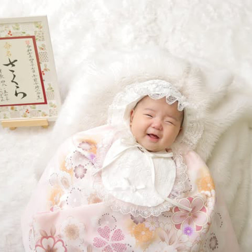 New!】命名書オーダー 干支の命名書「ちとせ」(2025年・巳年) 雑貨