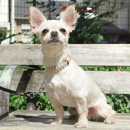パラコード　150m ハンドメイド　組合せ自由　リード　ストラップ　首輪　犬 8eaa47e166a449e5c51d7b4bf36caf
