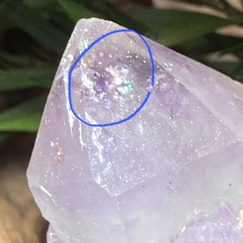 トライゴーニック 虹入り カクタスアメジスト サボテン水晶 ラフ 