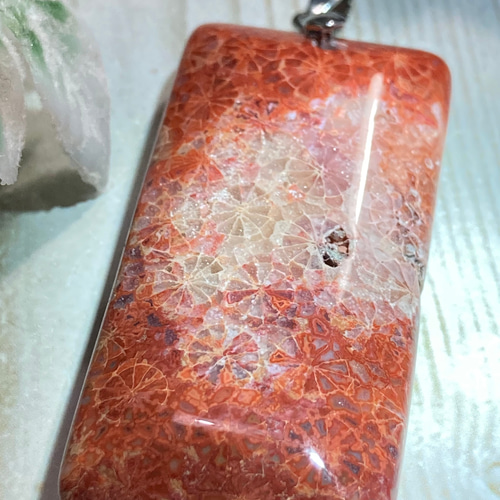 希少✨ マダガスカル産 レッド フォッシルコーラル 菊目石
