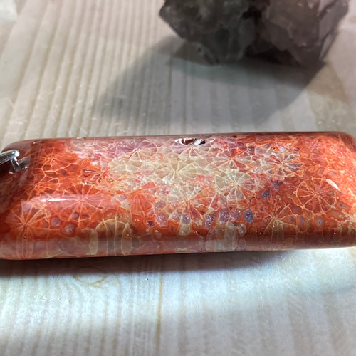 希少✨ マダガスカル産 レッド フォッシルコーラル 菊目石