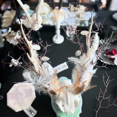 plum アンティーク ハンティングトロフィー 鹿角 オブジェ plum様専用 アンティーク ハンティングトロフィー 鹿角 オブジェ