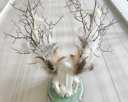 b48733c77a33a263a6b784d3493501