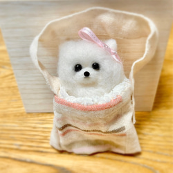 送料無料】羊毛フェルト パピヨン 羊毛フェルト ♡ron♡ 通販 17346549