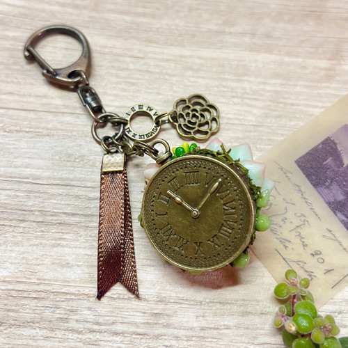 樹脂粘土 多肉 チャーム 樹脂粘土 多肉 チャーム 646e764a842221294eb0d14f1c635e