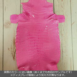 ワニ革  グレージング(艶)  リボーンピンク(白鞣し) No.CM0178 (6497-6500) 2枚目の画像