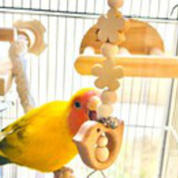 日本製 安心安全素材 天然木 木製 ウッド 鳥 インコ おもちゃ かじりおもちゃ PK2：ウッド 21cm 2枚目の画像