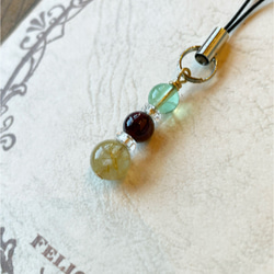 強力な浄化＊ルドラクシャ(金剛菩提樹の実) その他アクセサリー