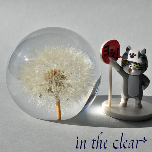 植物標本 たんぽぽ綿毛 レジン 8センチ球体 ハーバリウム・植物標本