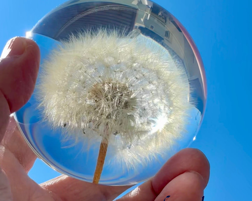 a1dc1b8246979e8194881340023b6a