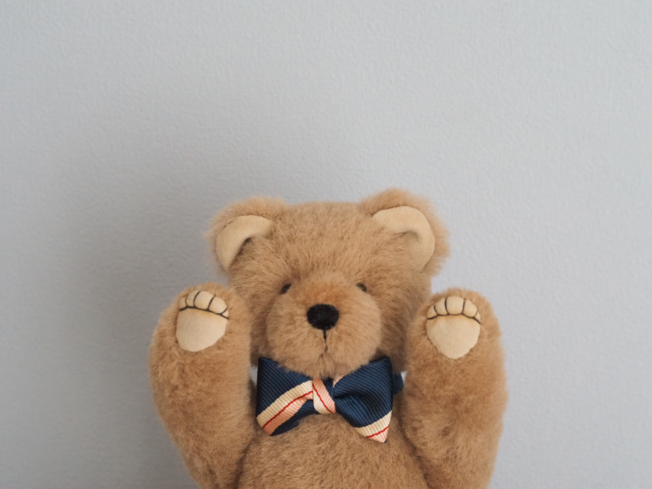 ciel étoilé  オリジナル Standard size teddy bear beige 正面向き　テディベア