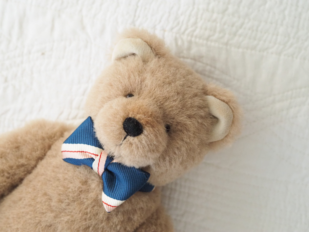 ciel étoilé  オリジナル Standard size teddy bear beige 正面向き　テディベア