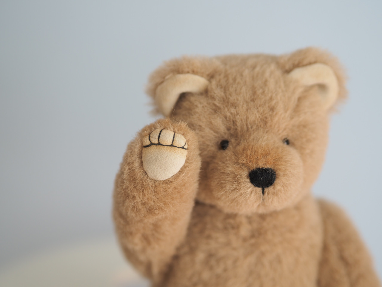 ciel étoilé  オリジナル Standard size teddy bear beige 正面向き　テディベア